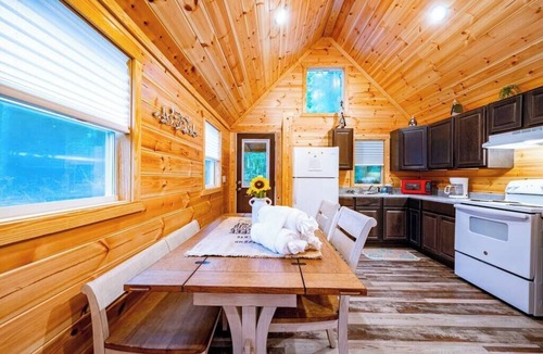 Broken Bow Cabin | Sycamore: Sleep 5 Tiny Cabin, Pets, Near Park/Lake