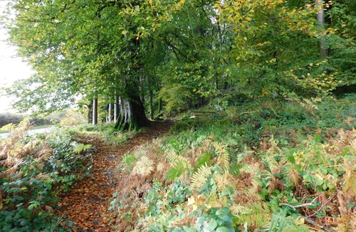 Beddgelert Cottage | Sygun Cottage 40 mins walk to Watkin Waterfalls, Snowdon