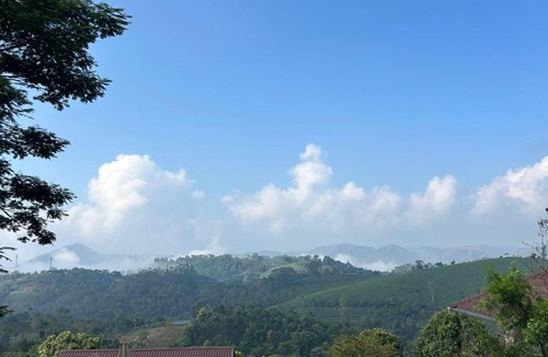 Elappara Hotel | Sylvan Private Pool Villas, Vagamon