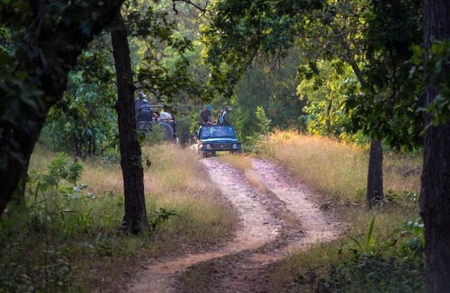 Tala Cabin | Syna Tiger Resort - Bandhavgarh