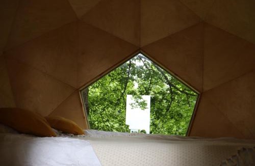 Rovte Other | T'glamp Bee house