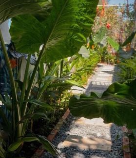 Duc Hoa Hotel | T-homestay Bình minh xanh
