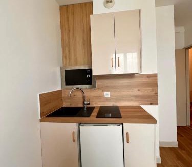 Bourges Apartment | T2 4 pers face gare SNCF Appart Hotel le Cygne D3
