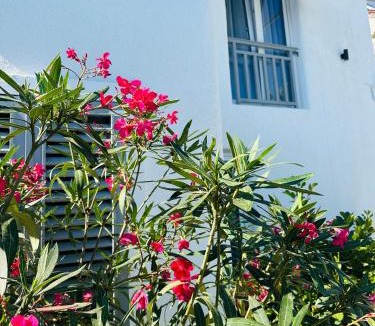 Vama Veche Hotel | Tagoo Vama Veche