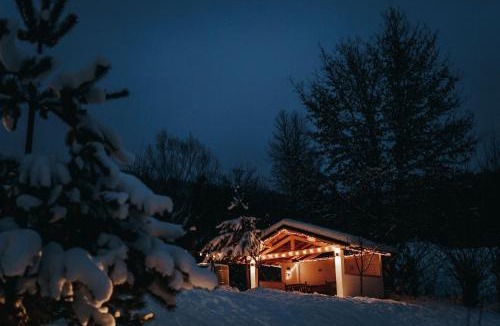 Viseu de Sus House | Talhaus