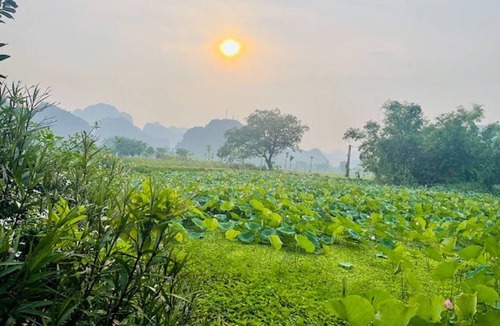 Hoa Lu House | Tam Coc Garden Homestay