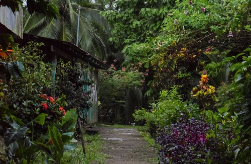 Pital Cabin | Tapir Lodge