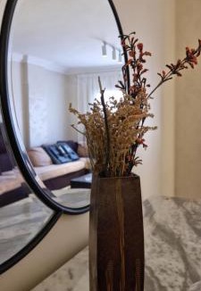 Sheikh Zayed City Apartment | Tara Home 204