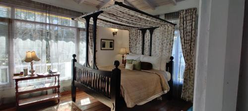 Kaul Hotel | Te Aroha By Shervani