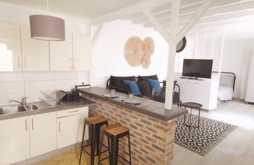 Saint-Maurice Apartment | TEA&CHILL- Large studio near Paris with terrace