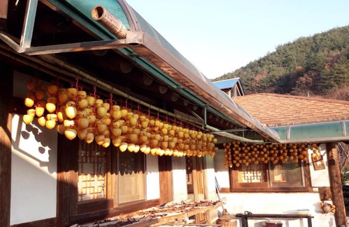 Hadong Bed & Breakfast | Tea Field Guest House