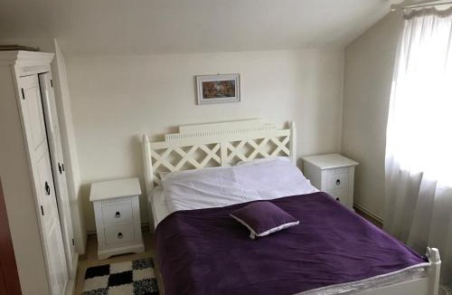 Cocani Crevedia House | Teachers