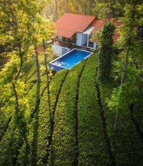 Anachal Bed & Breakfast | Tealawn Pool Villa, Munnar