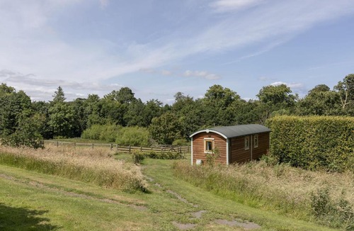 Bowsden House | Teasel Shepherd's Hut