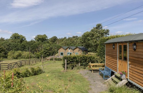 Bowsden House | Teasel Shepherd's Hut