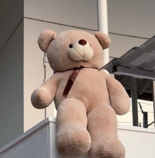 Malpe House | Teddy