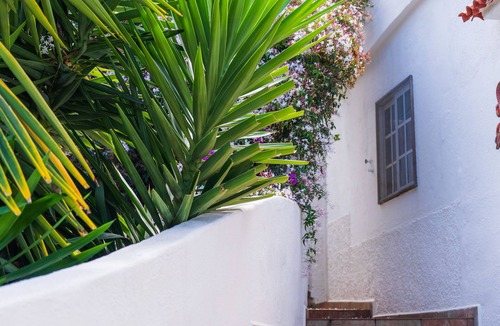 Cueva del Viento Cottage | Teide Eco Harmony