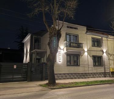 Satu Mare House | Tempo