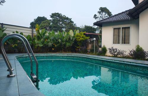 Mananthavady Apartment | Tender leaf inn