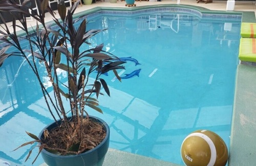 Cottondale RV Rental | Tent Site on Tranquil Grounds. Indoor Inground Pool.