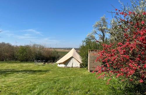Fosses-La-Ville Other | Tente glamping "bluebird" à la Ferme de la Chevêche