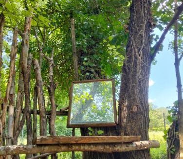 Saint-Paulet-de-Caisson Other | tente type yourth dans les bois