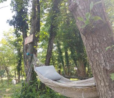 Saint-Paulet-de-Caisson Other | tente type yourth dans les bois