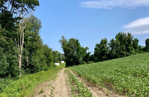 Town of Copake Other | Tentrr State Park Site - Taconic State Park High Valley Rd Site E