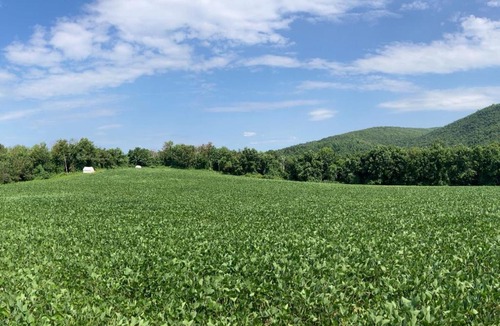 Town of Copake Other | Tentrr State Park Site - Taconic State Park High Valley Rd Site F