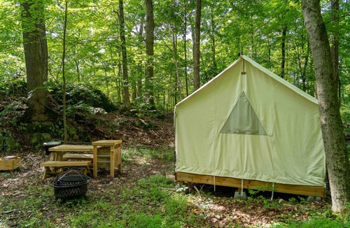 Staatsburg Other | Tentrr State Park Site - Mills Norrie State Park Site A
