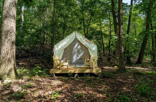 Staatsburg Other | Tentrr State Park Site - Mills Norrie State Park Site E