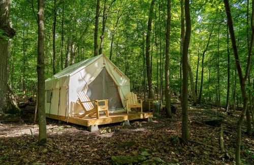 Staatsburg Other | Tentrr State Park Site - Mills Norrie State Park Site C