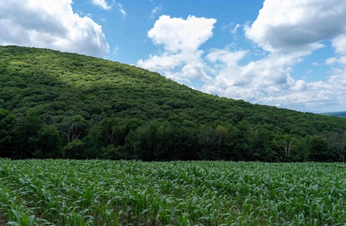 Town of Copake RV Rental | Tentrr State Park Site - NY Taconic State Park: High Valley Rd Site C