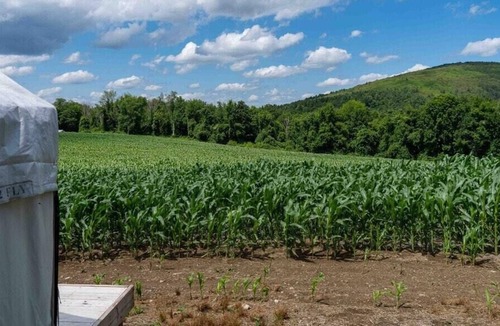 Town of Copake RV Rental | Tentrr State Park Site - NY Taconic State Park: High Valley Rd Site C