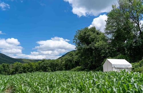Town of Copake RV Rental | Tentrr State Park Site - NY Taconic State Park: High Valley Rd Site C