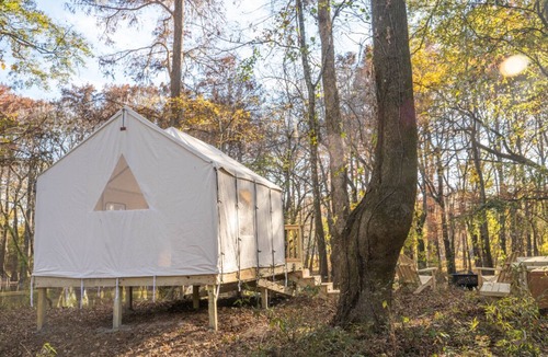 Jackson RV Rental | Tentrr State Park Site - Mississippi LeFleur's Bluff State Park - By the Bayou E
