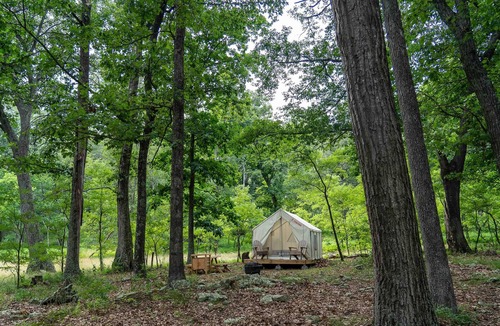 Mathias RV Rental | Tentrr State Park Site - WV Lost River State Park - Wooded Wilderness C - Single