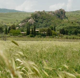 Roccella Valdemone House | Tenuta Rustìca 1519