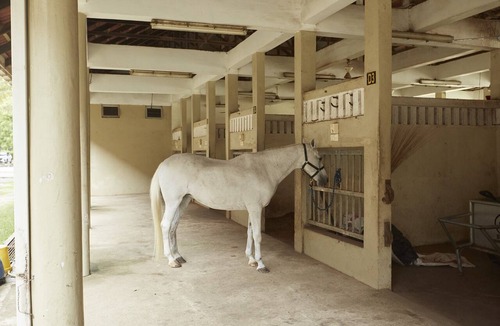 Kampung Kuala Ibai Hotel | Terengganu Equestrian Resort