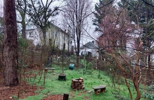 Summerhill House | Terpene Lot