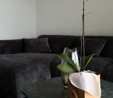 Kozani Apartment | Terra Loft 2