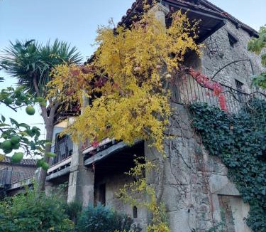Hoyos House | TERRACEA