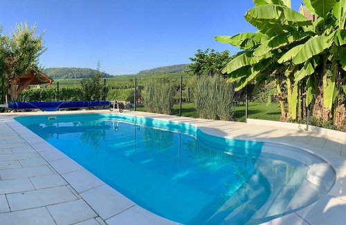 Pfaffenheim House | TERRASSE d'ALPHONSE - Charming and relaxing cottages Swimming pool and Sauna