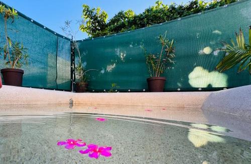 Brisas de Zicatela Villa | Terraza Maca