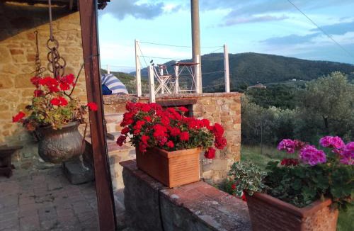 Greve in Chianti Villa | Terrazza sul Chianti