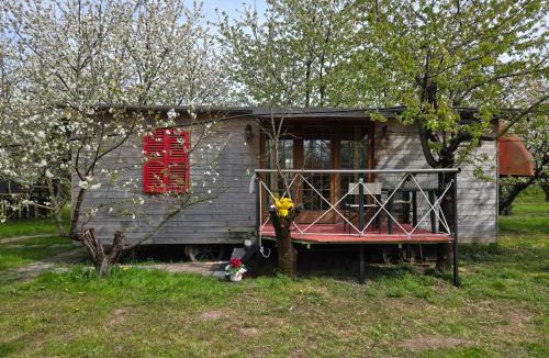 Spresiano Other | terrebio bungalow
