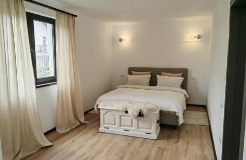 Alba Iulia Apartment | TFT Roica