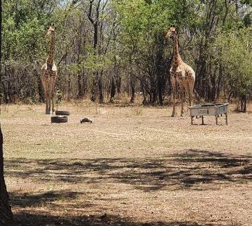Vaalwater House | Thaba meetse