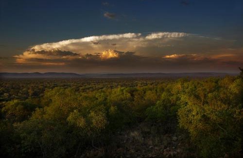 Madibeng Cabin | Thabaledi Game Lodge