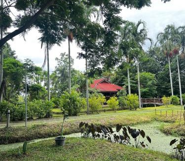 Choeng Doi House | Thai style cabin Doi Saket
